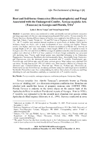 Root and Soil-Borne Oomycetes and Fungi Associated with Torreya