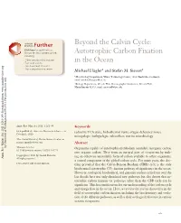Beyond the Calvin Cycle: Autotrophic Carbon Fixation in the Ocean