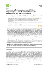 Comparative Proteomic Analysis of Walnut (Juglans Regia L.) Pellicle Tissues Reveals the Regulation of Nut Quality Attributes