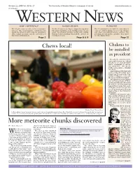 More Meteorite Chunks Discovered