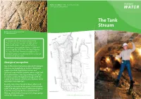 The Tank Stream Today