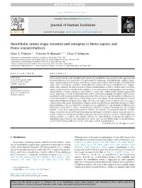Mandibular Ramus Shape Variation and Ontogeny in Homo Sapiens and Homo Neanderthalensis