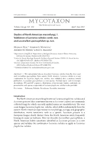 Mycotaxon, Ltd