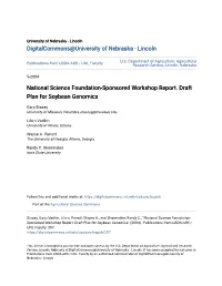 National Science Foundation-Sponsored Workshop Report