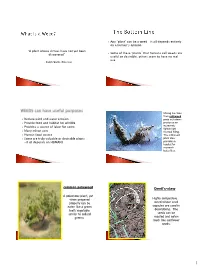Definition of a Weed