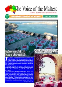 Layout VGD Copy