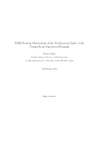 XMM-Newton Observation of the Northeastern Limb of the Cygnus Loop Supernova Remnant