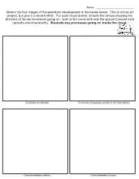 Convection Questions.Cdr
