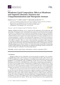 Effect on Membrane and Organelle Structure, Function and Compartmentalization and Therapeutic Avenue