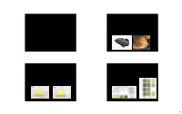 Metamorphic Facies – Environment of Formation