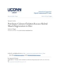 Post-Injury Calcium Chelation Rescues Skeletal Muscle Regeneration in Mice Matthew .D Magda University of Connecticut - Storrs, Matthew.Dominic.Magda@Gmail.Com