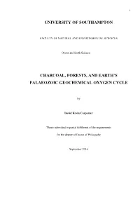 Charcoal, Forests, and Earth's Palaeozoic Geochemical Oxygen Cycle