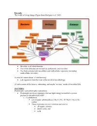 Diversity.Pdf