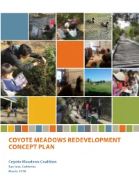 Coyote Meadows Redevelopment Concept Plan