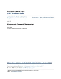 Phylogenetic Trees and Their Analysis