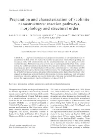 Preparation and Characterization of Kaolinite Nanostructures: Reaction Pathways, Morphology and Structural Order