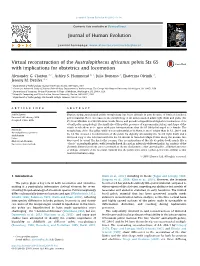 Virtual Reconstruction of the Australopithecus Africanus Pelvis Sts 65 with Implications for Obstetrics and Locomotion