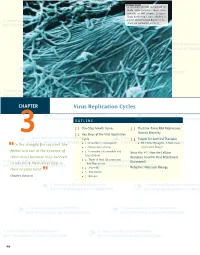 Virus Replication Cycles