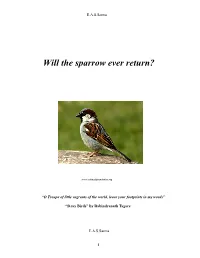 Will Sparrows Ever Return