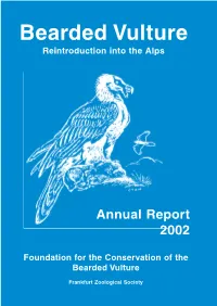 Bearded Vulture Reintroduction Into the Alps