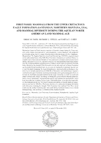 FIRST FOSSIL MAMMALS from the ... -.: Palaeontologia Polonica