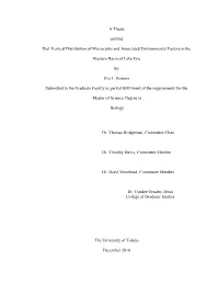 A Thesis Entitled Diel Vertical Distribution of Microcystis And