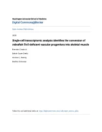 Single-Cell Transcriptomic Analysis Identifies the Conversion of Zebrafish Etv2-Deficientascular V Progenitors Into Skeletal Muscle