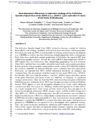 Host-Dependent Differences in Replication Strategy of The