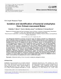 Isolation and Identification of Bacterial Endophytes from Crinum Macowanii Baker