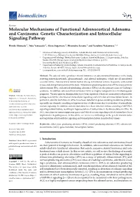 Molecular Mechanisms of Functional Adrenocortical Adenoma and Carcinoma: Genetic Characterization and Intracellular Signaling Pathway