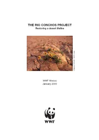 THE RIO CONCHOS PROJECT Restoring a Desert Lifeline N O N a C - F W W / R E K R a P D R a W D E ©