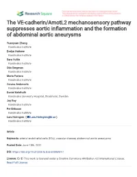 The VE-Cadherin/Amotl2 Mechanosensory Pathway Suppresses Aortic In�Ammation and the Formation of Abdominal Aortic Aneurysms
