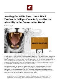 Averting the White Gaze: How a Black Panther in Laikipia Came to Symbolise the Absurdity in the Conservation World