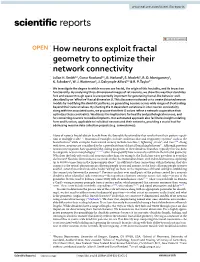 How Neurons Exploit Fractal Geometry to Optimize Their Network Connectivity Julian H