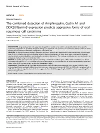 The Combined Detection of Amphiregulin, Cyclin A1 and DDX20/Gemin3 Expression Predicts Aggressive Forms of Oral Squamous Cell Carcinoma
