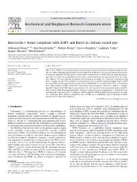 Intersectin 1 Forms Complexes with SGIP1 and Reps1 in Clathrin-Coated