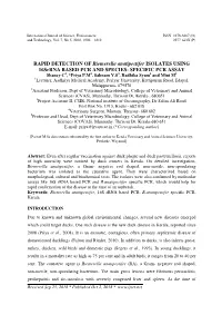 RAPID DETECTION of Riemerella Anatipestifer ISOLATES USING