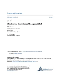 Ultrastructural Observations of the Argonaut Shell