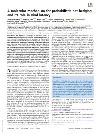 A Molecular Mechanism for Probabilistic Bet Hedging and Its Role in Viral Latency