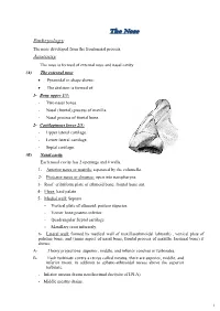 The Nose Embryology the Nose Developed from the Frontonasal Process