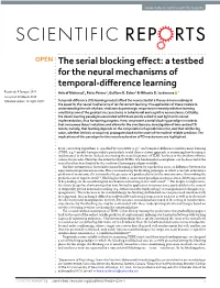 The Serial Blocking Effect: a Testbed for the Neural Mechanisms of Temporal