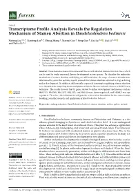 Transcriptome Profile Analysis Reveals the Regulation Mechanism