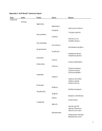 1 Appendix 3. Gulf Islands Taxonomy Report
