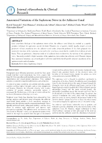 Anatomical Variations of the Saphenous Nerve in the Adductor Canal