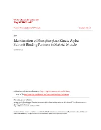 Identification of Phosphorylase Kinase Alpha Subunit Binding Partners in Skeletal Muscle Soleil Archila