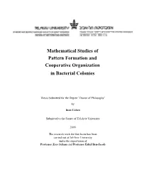 Mathematical Studies of Pattern Formation and Cooperative Organization in Bacterial Colonies