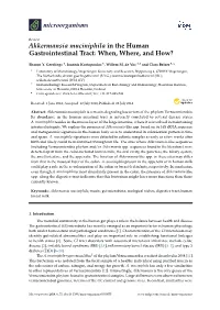Akkermansia Muciniphila in the Human Gastrointestinal Tract: When, Where, and How?