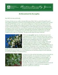 An Encomium for Eucryphia
