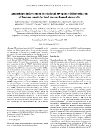 Autophagy Induction in the Skeletal Myogenic Differentiation of Human Tonsil-Derived Mesenchymal Stem Cells