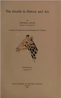 The Giraffe in History and Art